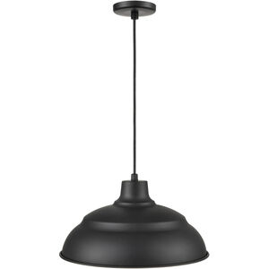 R Series 1 Light 17.00 inch Pendant